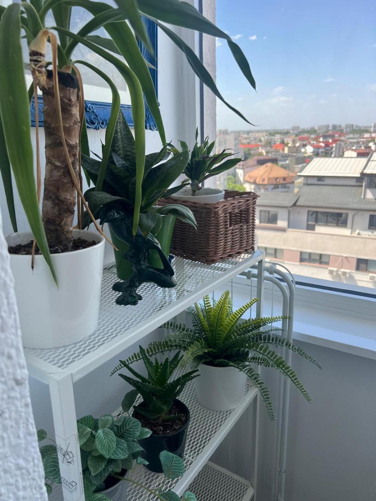 1Bdr Apartment Perla 225 Bucureşti Eksteriør bilde